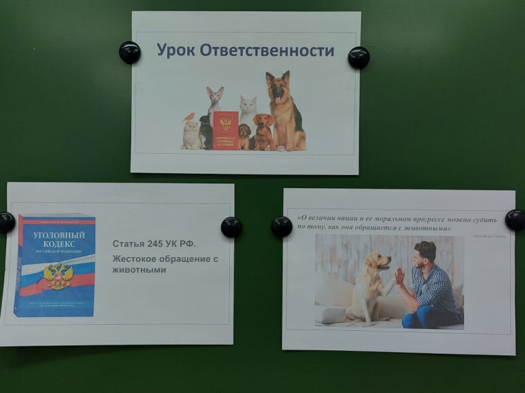 «Мы в ответе за тех, кого приручили».